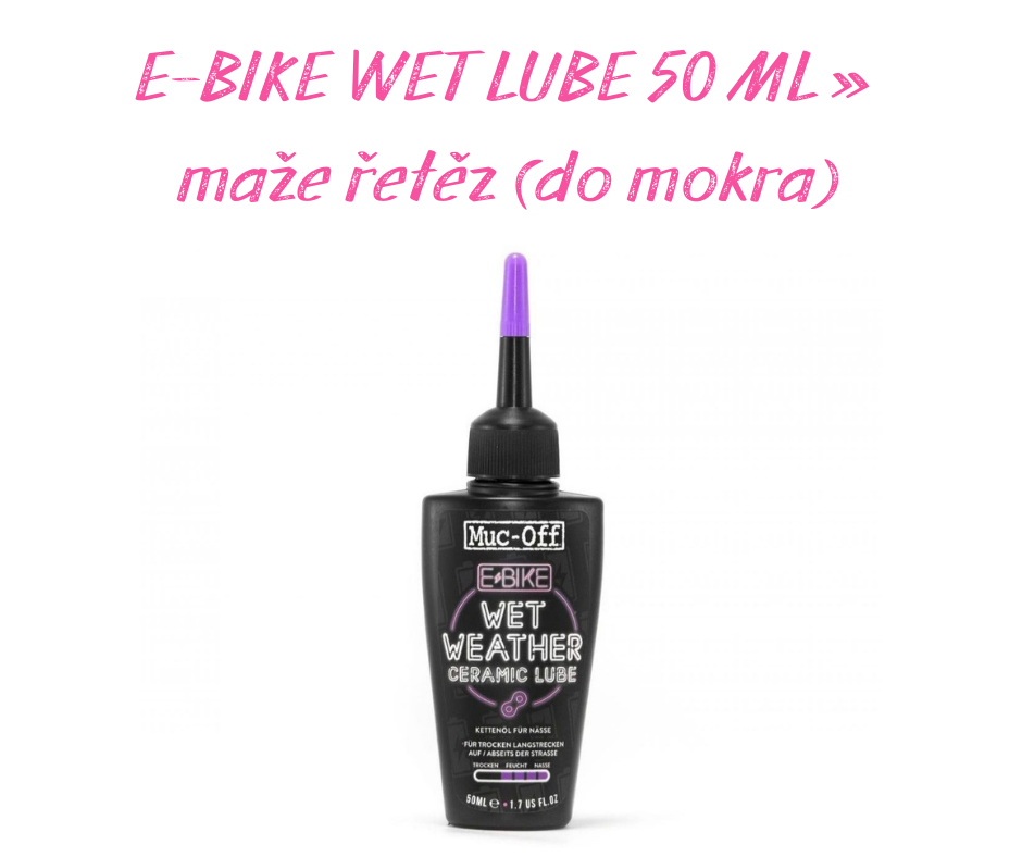 ebike wet lube